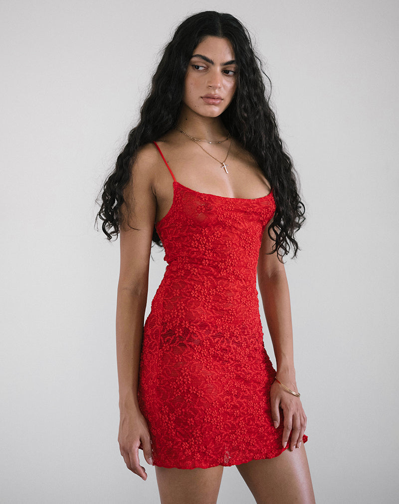 Ismene Mini Dress in Ongevoerd Kant Rood