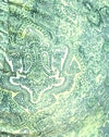 Abstract Paisleygroen