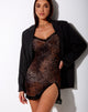 Afbeelding van Coti Bodycon Jurk in Gradiënt Cheetah Bruin met Kant