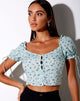 Afbeelding van Flaba Top in Petal Green