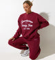 Afbeelding van Glan Sweatshirt in Bourgondië met "Winnend Team" Embro