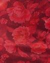 Ruw Rose Bourgondië