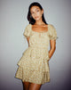 BEELD VAN Mosere Mini Dress in Washed Ditsy