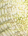 Krok Groen
