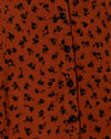 Dainty Daisy Bombay Bruin