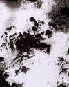 Zwart-wit Mono Tie Dye