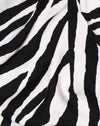 Enorme zebra
