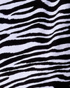 Klassieke zebra