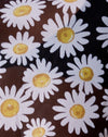 DaisyLoveZwart