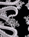Dragon Touw Zwart Plaatsing