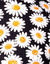 DaisyLoveZwart