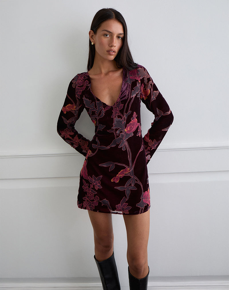 Alitra Mini Dress in Floral Devore Bourgondië