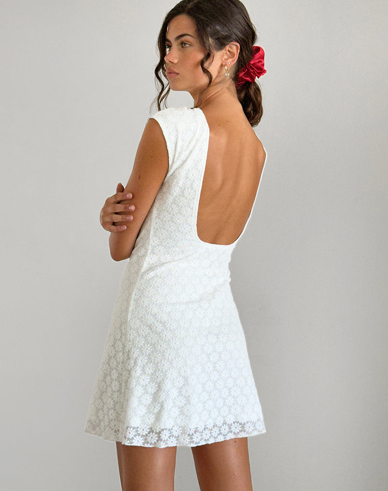 Afbeelding van Ambu Mini Dress in Floral Lace Ivory