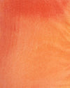  Fruit Crush aquarel