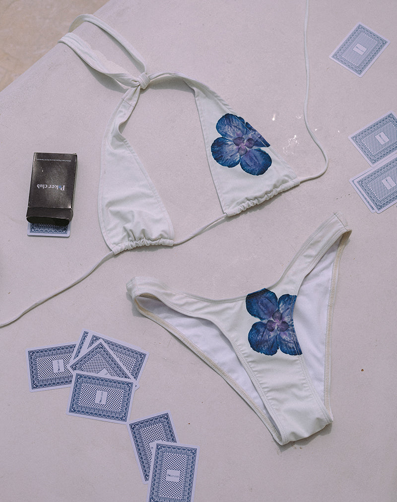 Afbeelding van Cerry Bikinitop in Ivoor met Blauwe Orchidee