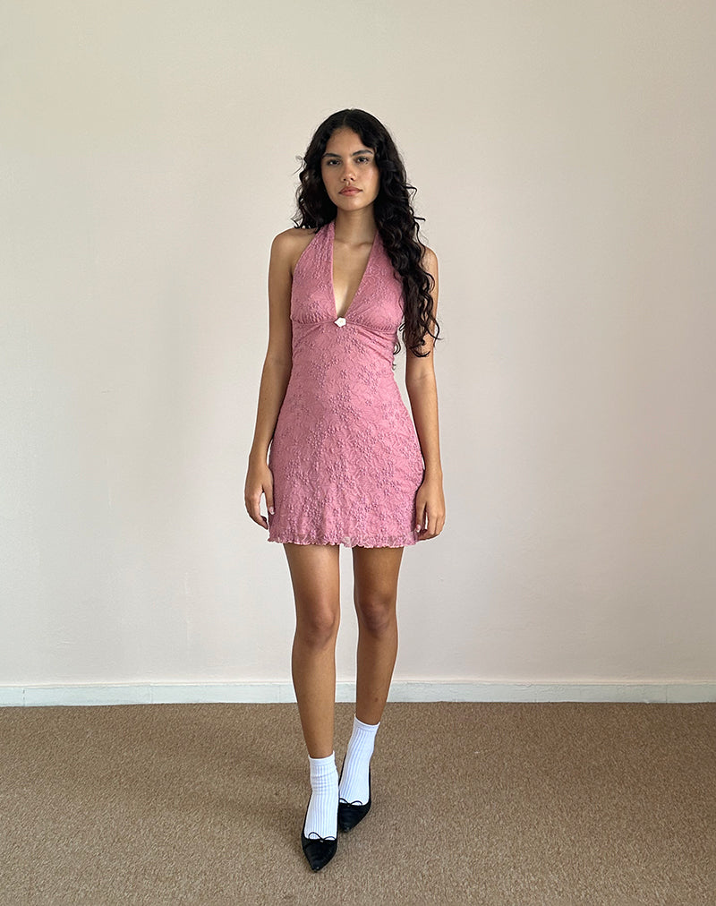 Afbeelding van Codami Mini jurk met halterhals in kant Dusty Rose