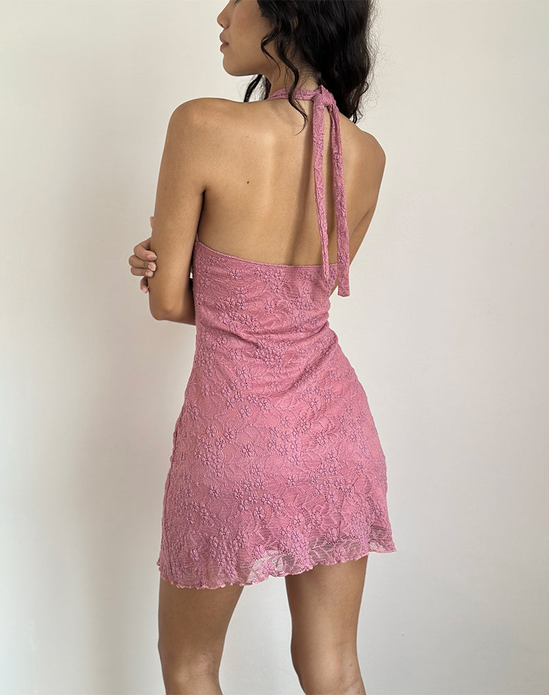 Afbeelding van Codami Mini jurk met halterhals in kant Dusty Rose