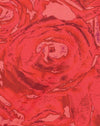 Roze bloemblaadjes rood