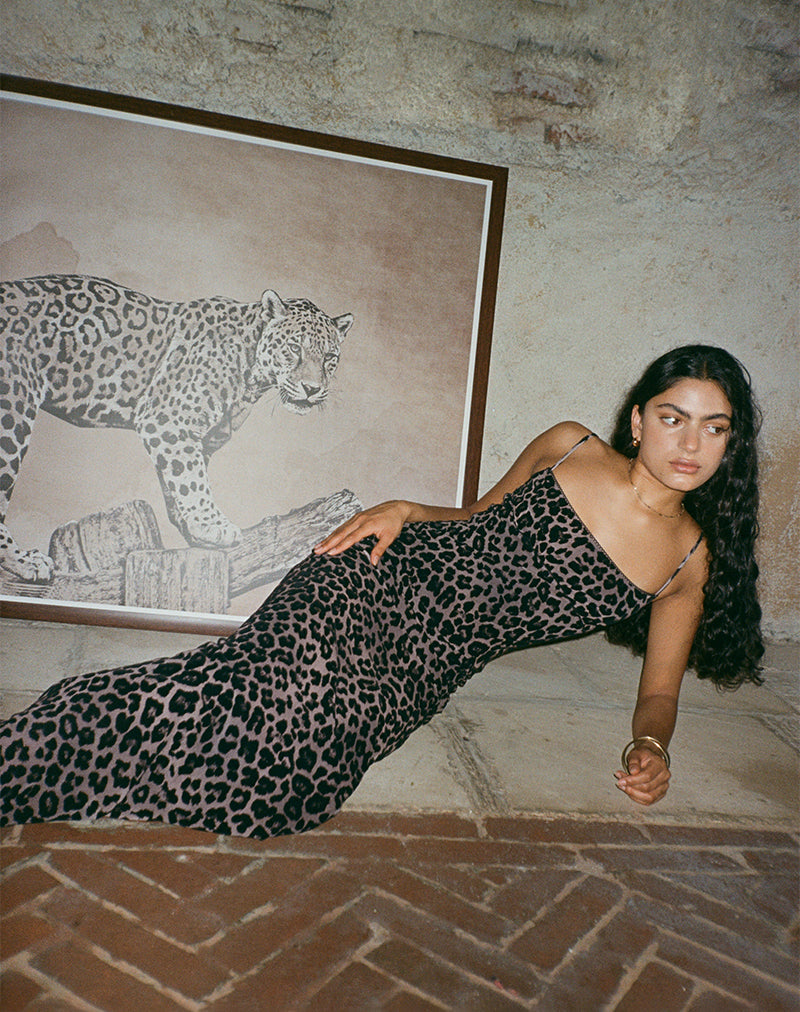 Darsih Maxi Dress in gevlokt Rar Leopard