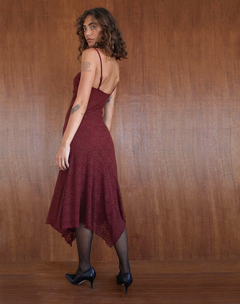 Afbeelding van Drusilla Midi Dress in Rose Lace Burgundy