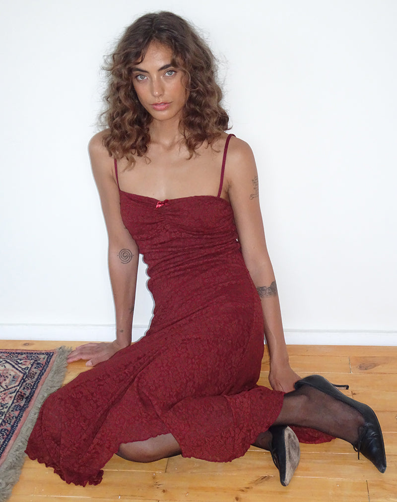 Afbeelding van Drusilla Midi Dress in Rose Lace Burgundy