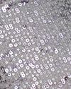 Zilver Pailletten