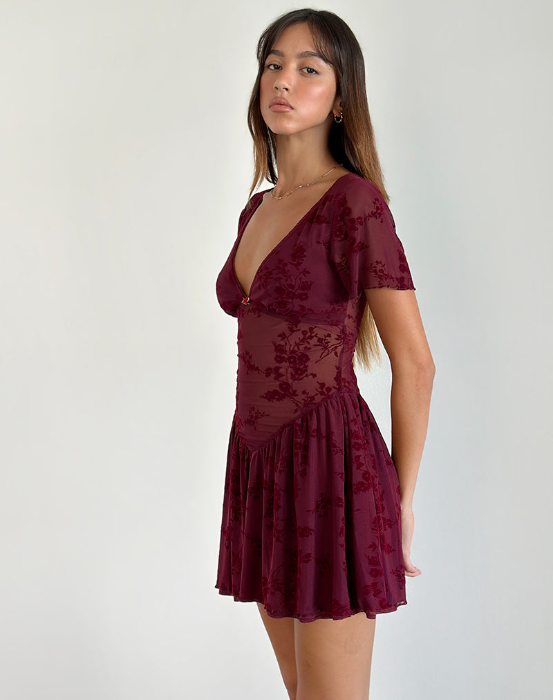 Afbeelding van Geni Mini Dress in Botanical Flower Maroon