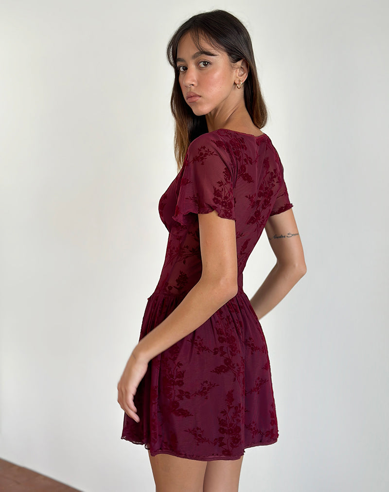 Afbeelding van Geni Mini Dress in Botanical Flower Maroon