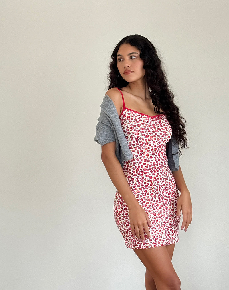 Gracias Mini Jurk in Aardbei 2023 Print