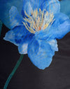 Zwart met blauwe aquarelbloem