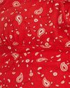 Paisley Fun Rood