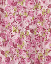 Bloesem Bloemen Roze