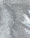 Mini Pailletten Zilver Chroom