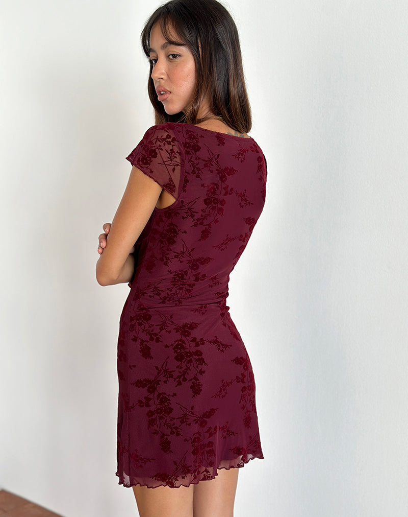 Afbeelding van Lashka Mini jurk in botanische bloem Maroon
