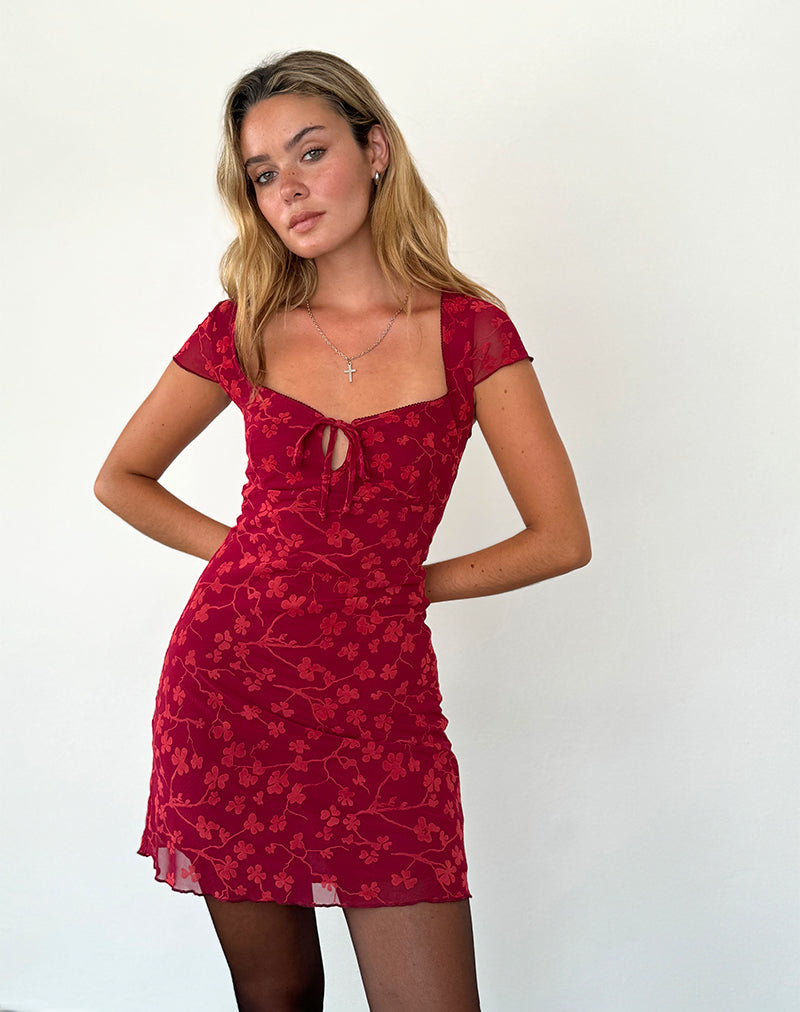 Lashka Mini Jurk in Rood Grunge Bloemenvlok