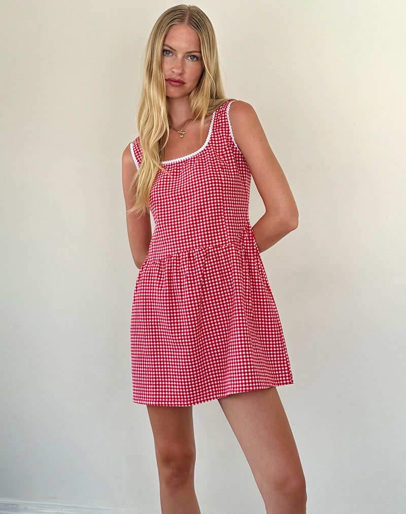 Leshi Mini Jurk in Rood Gingham