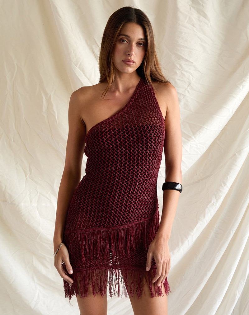 Meloka Asymmetrische Franje Mini Jurk in Berry