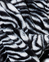 Zebra zwart-wit