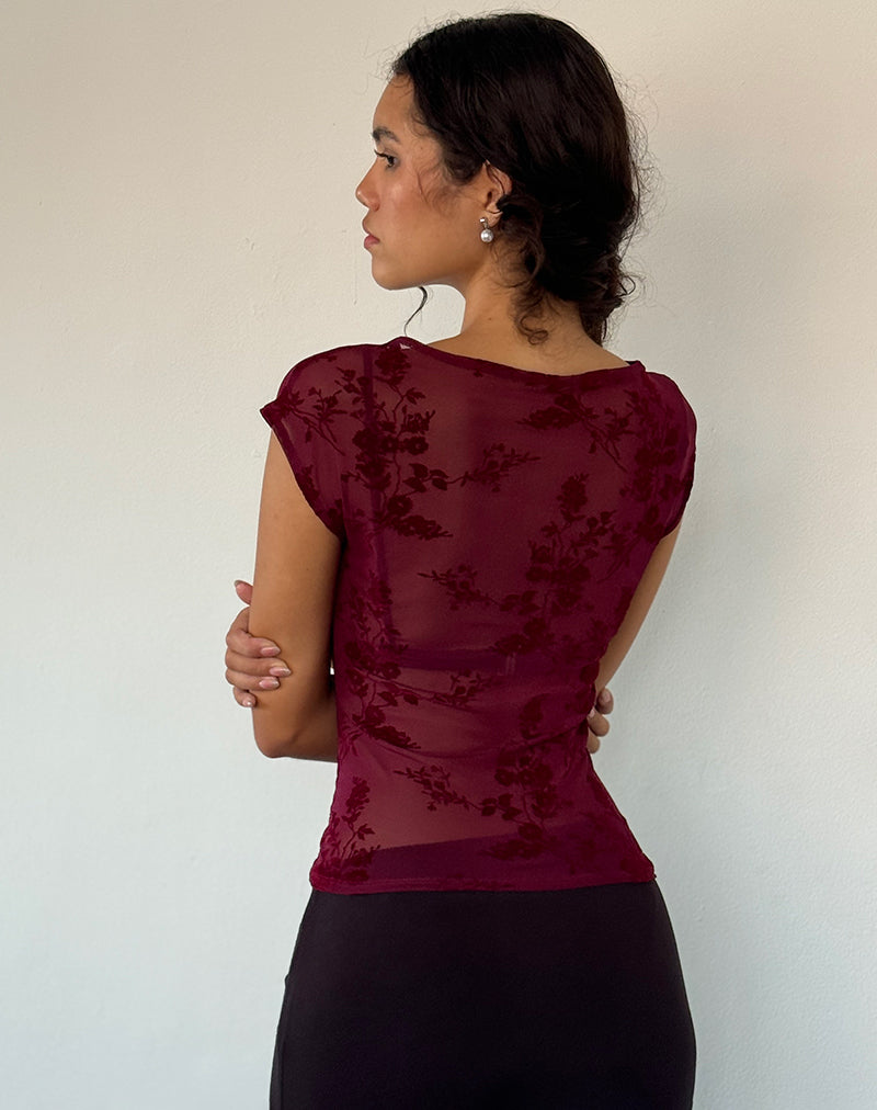 Afbeelding van Nova Top in Botanische Bloem Maroon