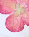 Ivoor met roze orchidee