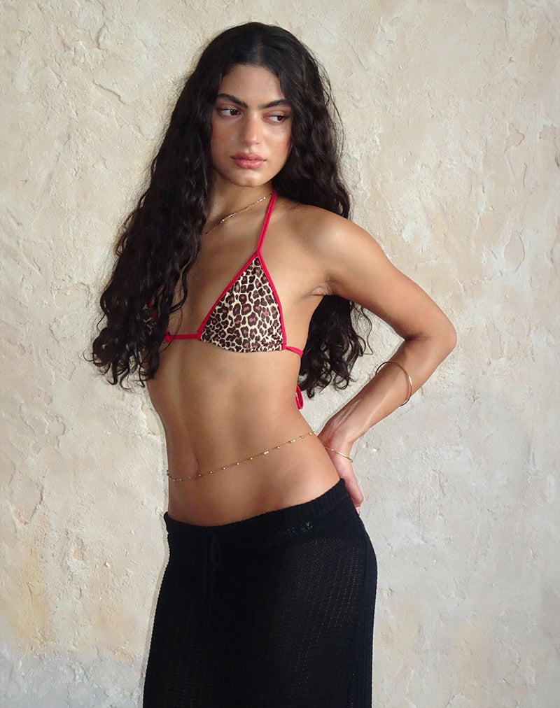 Afbeelding van Pami Bikinitop in Rar Leopard met contrasterende bandjes