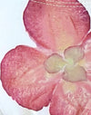 Ivoor met roze orchidee