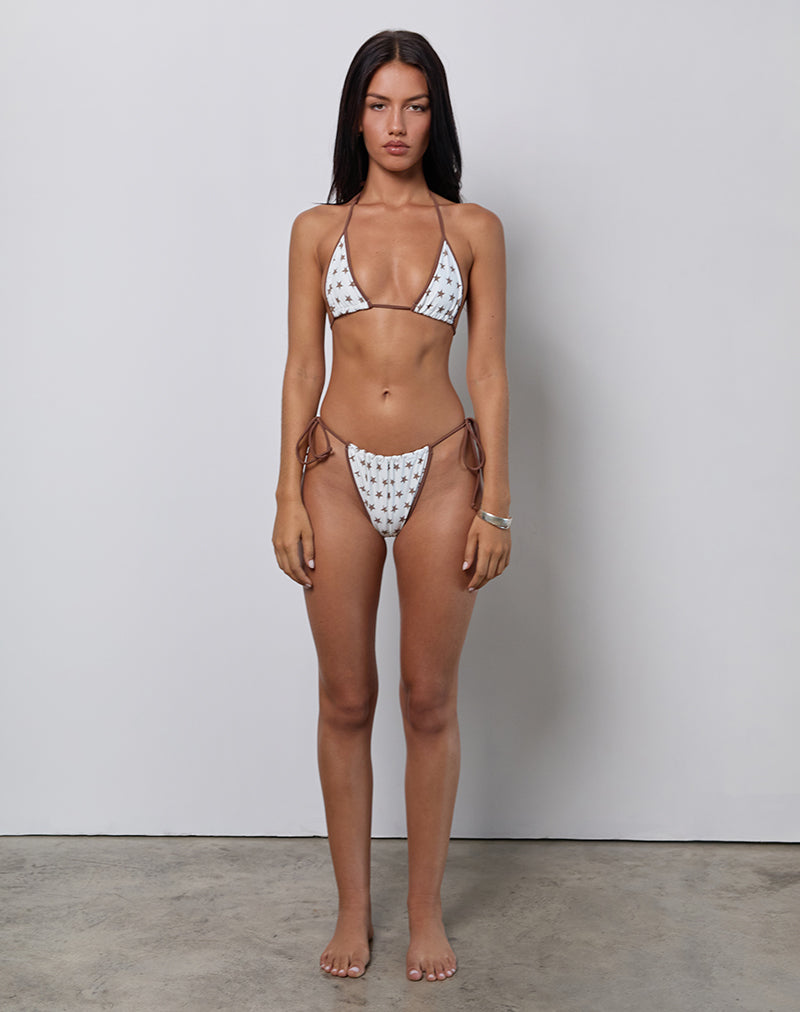 Afbeelding van Pami Bikini Top in Wit en Bruin Sterrenprint met Contrasterende Binding