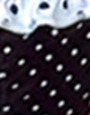 Zwart en blauw polka
