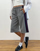 Afbeelding van Ridley Side Stripe Shorts in Grijs