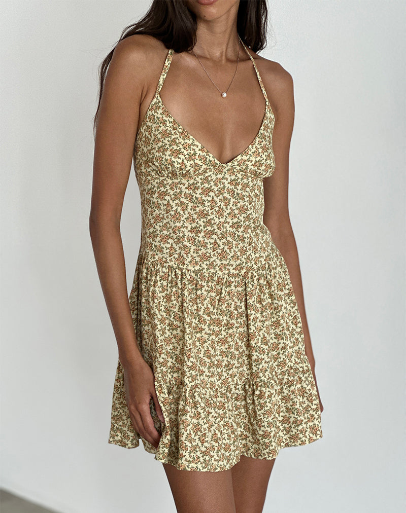 Afbeelding van Siskana Mini Dress in Washed Ditsy