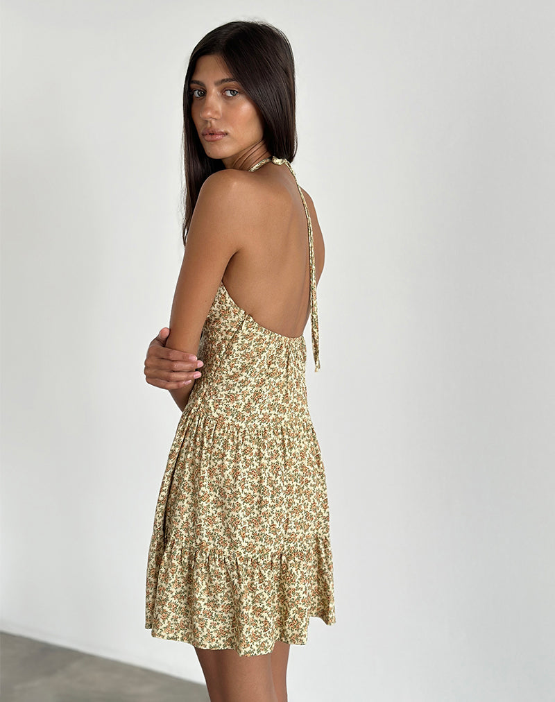 Afbeelding van Siskana Mini Dress in Washed Ditsy