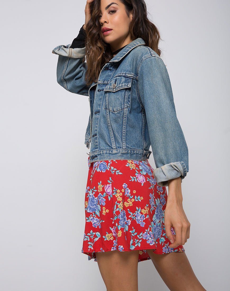Andrea rok in Vintage Fleur