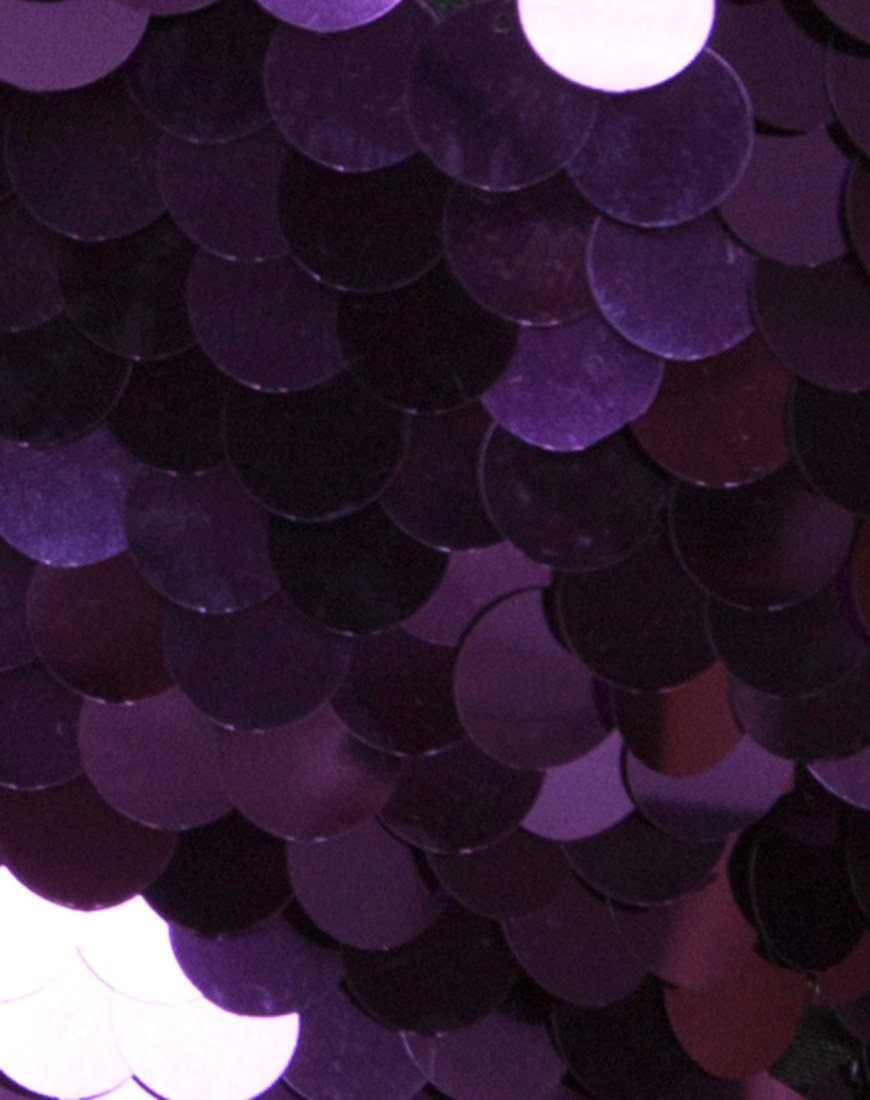 Image van Angel Crop Top in Plum Disc Sequin