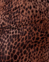 Kleurverloop Cheetah Bruin